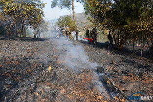 贵州福泉森林火灾被扑灭 5救火人员遇难