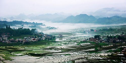 广西国有高峰林场   清晨的乡村,宁静,安详,层层薄雾环绕透出乡村简朴